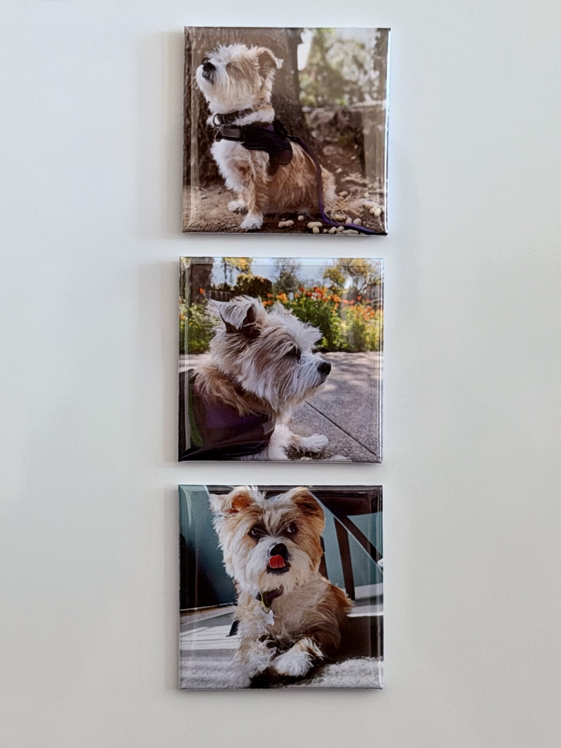 Set of 3 custom photo magnets — Snap Happens Co
